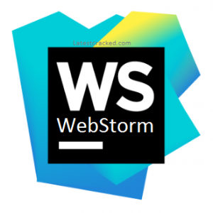 WebStorm 균열