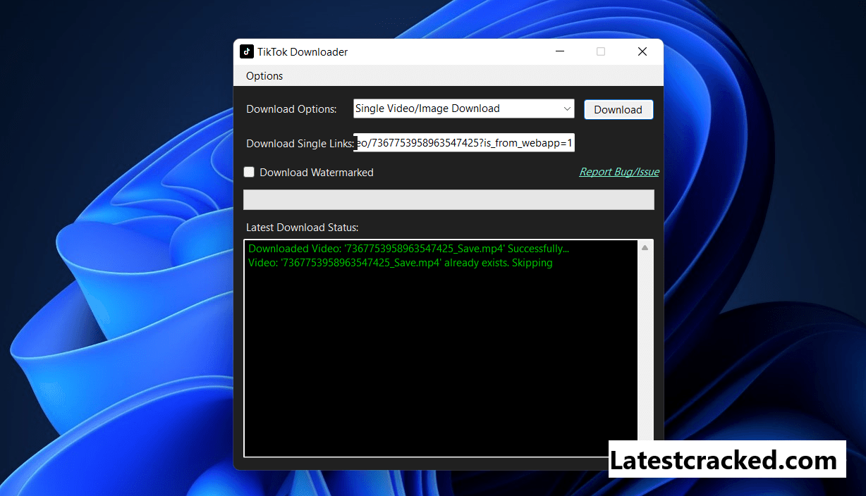 TikTok Downloader Crack